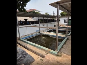 Video: Dari Lahan Sengketa Jadi Kolam Gizi, Kini Tebar 8.000 Ikan