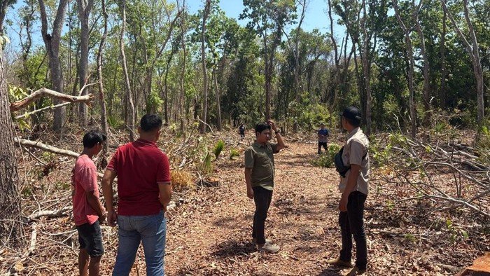 Petugas melakukan lacak bala dan mengamankan truk bermuatan 8 kubik kayu diduga ilegal Petugas melakukan lacak bala dan mengamankan truk bermuatan 8 kubik kayu diduga ilegal