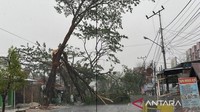 Hujan Guyur Banjarbaru Kalsel Usai Kemarau Panjang hingga Pohon Tumbang