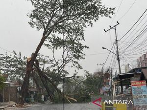 Hujan Guyur Banjarbaru Kalsel Usai Kemarau Panjang hingga Pohon Tumbang
