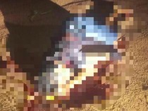 Pria di Way Kanan Lampung Ditemukan Tewas dengan Luka di Sekujur Tubuh