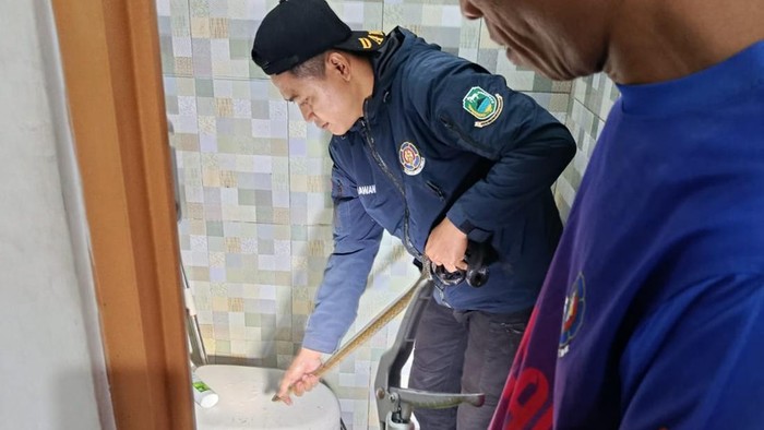 Proses evakuasi ular di Kuningan
