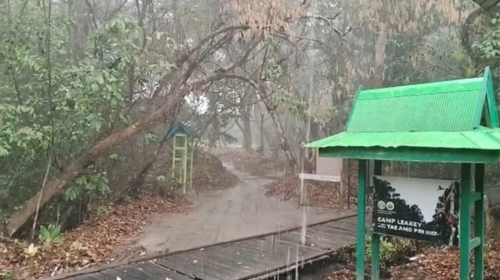 Sejumlah titik di TN Tanjung Puting diguyur hujan pada Senin (26/10/2026).