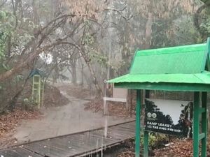 Hujan Deras Guyur 3 Titik di TN Tanjung Puting, Jadi Harapan Redakan Karhutla