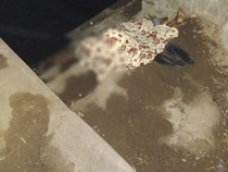 Usai Mandi di Irigasi, Pria Jembrana Tewas Tersetrum Saat Pegang Tiang Lampu