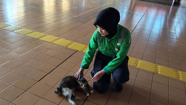 Sopian si seleb kucing di Stasiun Gondangdia (Shonya/detikcom)