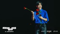 Masih PCD Konser The Rose ROSETOPIA Jakarta? Sama!