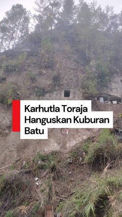Video Karhutla di Toraja Hanguskan Kuburan Batu, Diduga Disengaja