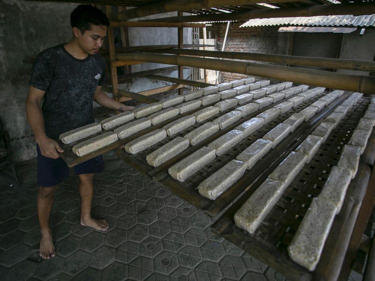 UMKM Didorong Perluas Pasar Lewat Rantai Pasok Makan Bergizi Gratis