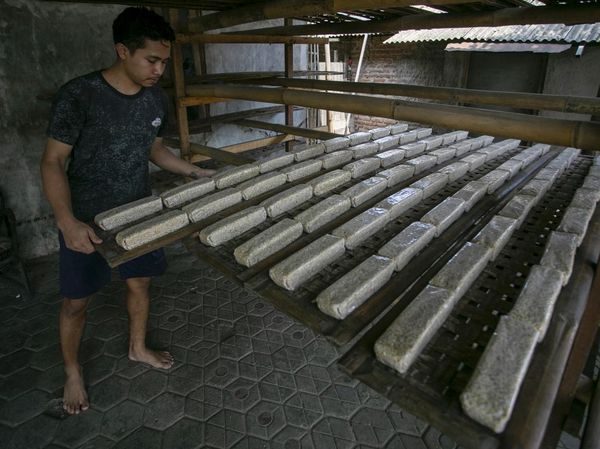 UMKM Didorong Perluas Pasar Lewat Rantai Pasok Makan Bergizi Gratis