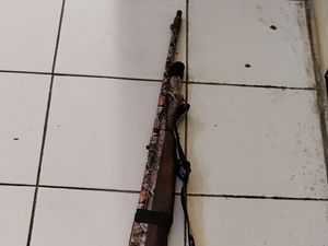 Dua Landak Jawa yang Dilindungi Mati Ditembak Pemburu di Hutan Malang