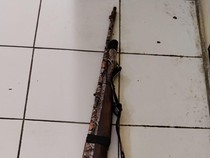 Dua Landak Jawa yang Dilindungi Mati Ditembak Pemburu di Hutan Malang