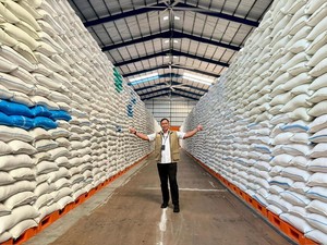 BULOG Kuasai 4,5 Juta Ton Beras, Cadangan RI Ungguli Sejumlah Negara ASEAN