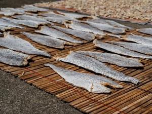 Ikan Asin Disemprot Baygon Jadi Sorotan, Begini Fakta Menarik Ikan Asin