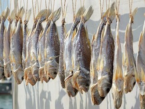 Geger Video Ikan Asin Disemprot Baygon, Begini Proses Bikin Ikan Asin Alami