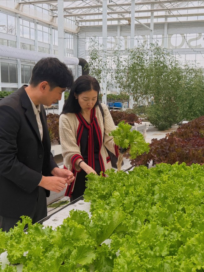 Sejumlah foto memperlihatkan Lee Young Ae mendatangi kebun hidroponik. Tampil anggun dalam balutan cardigan krem dan setelan berwarna hitam. Foto: dok. Instagram @leeyoungae0824
