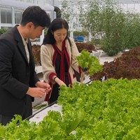 Sejumlah foto memperlihatkan Lee Young Ae mendatangi kebun hidroponik. Tampil anggun dalam balutan cardigan krem dan setelan berwarna hitam. Foto: dok. Instagram @leeyoungae0824