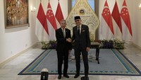 RI dan Singapura Akan Bentuk Satgas Pemburu Perusahaan Pembakar Hutan