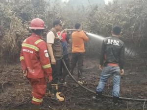 Kebakaran Lahan di Kota Jambi Capai 30 Hektare, 14.626 Warga Terserang ISPA
