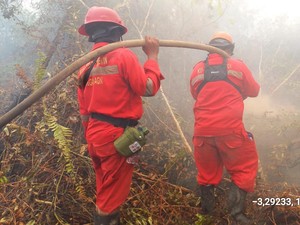 Padamkan Karhutla di OKI, Manggala Agni Kirim Tambahan Regu dari Lahat