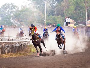 Sulawesi Utara Juara Umum Kejurnas Pacuan Kuda PORDASI 2026