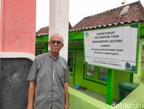 Kisah Sururi Tanam Mangrove di Pesisir Semarang Sejak 1995 demi Cegah Abrasi