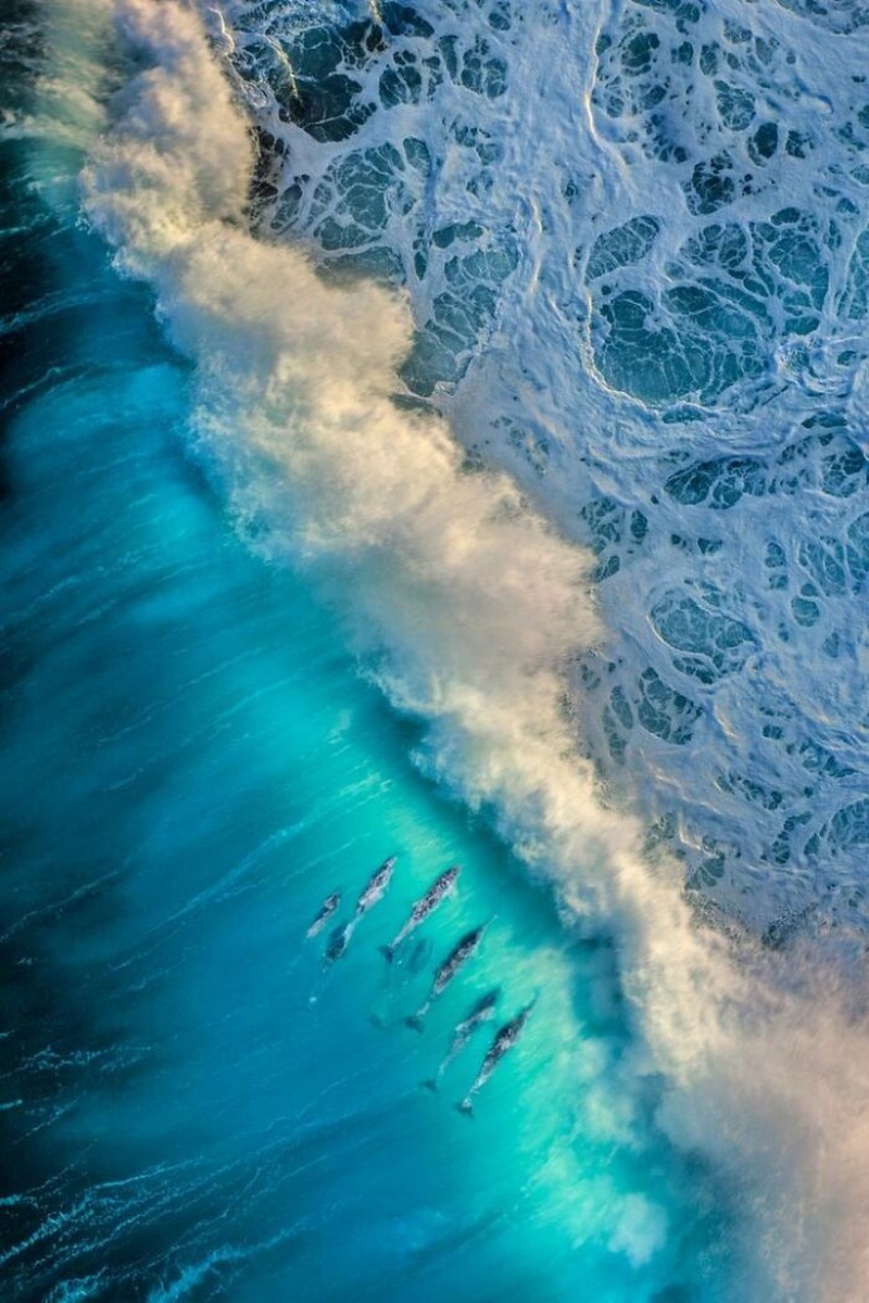 The Ournature Environmental Photo Awards 2026