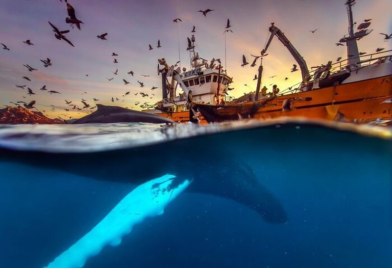 The Ournature Environmental Photo Awards 2026