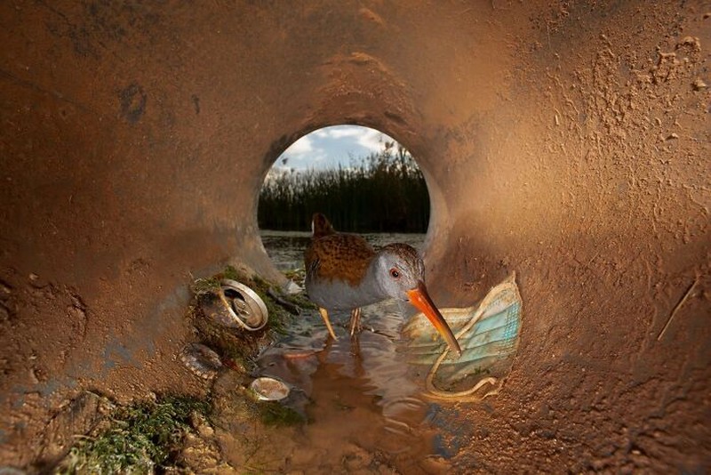 The Ournature Environmental Photo Awards 2026