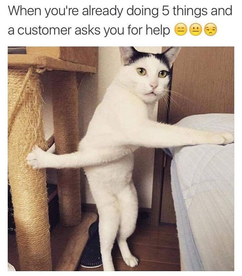 Addictedtokittys via Bored Panda