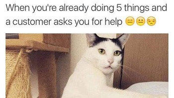 Tolong, tangannya cuma dua. Foto: Addictedtokittys via Bored Panda