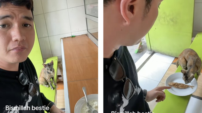 Aldi Taher traktir kucing warteg ikan goreng
