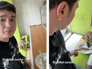 Aksi Aldi Taher Traktir Kucing Warteg Ikan Goreng, Netizen Auto Muji!
