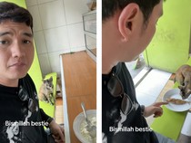 Aksi Aldi Taher Traktir Kucing Warteg Ikan Goreng, Netizen Auto Muji!