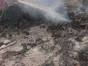 Video: Hujan Tak Padamkan Bara Api di Lahan Gambut Palangka Raya