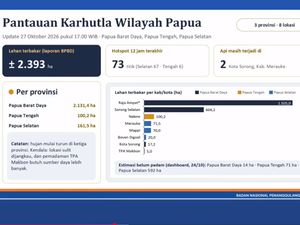 BNPB Ungkap Kendala Padamkan Karhutla Papua, Termasuk di Raja Ampat