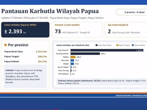 BNPB Ungkap Kendala Padamkan Karhutla Papua, Termasuk di Raja Ampat