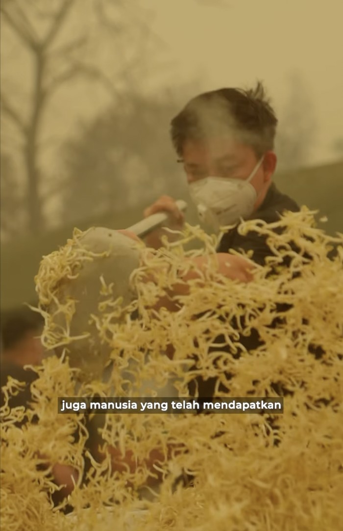 Bobon Santoso Bobon Santoso masak besar di tengah karhutla
