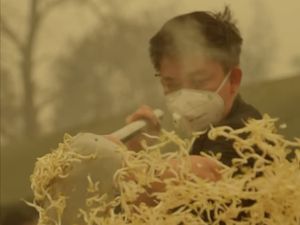 Bobon Santoso Jawab Tudingan Masak Besar di Titik Karhutla Cuma demi Konten