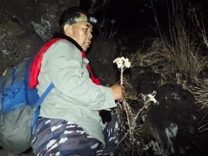 Hamparan Edelweis Gunung Ciremai Jadi Arang Akibat Karhutla