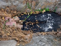 Wanita di Bandar Lampung Ditemukan Tewas dalam Parit, Tubuh Terikat Tambang