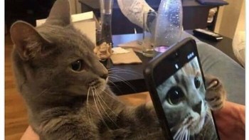 Pakai kamera 0,5 biar Gen Z abis! Foto: Addictedtokittys via Bored Panda