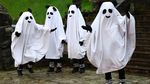 Labu Halloween untuk Jaguar, Meerkat, hingga Rusa Kutub