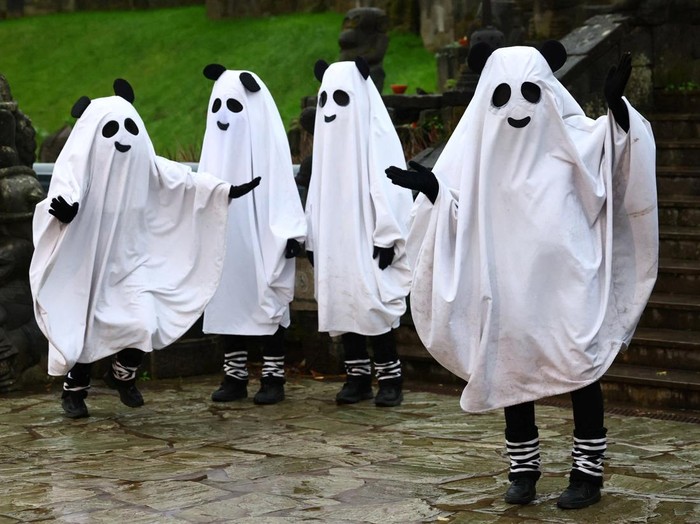 Labu Halloween untuk Jaguar, Meerkat, hingga Rusa Kutub People dressed as phantom pandas entertain visitors ahead of Halloween at Pairi Daiza wildlife park in Brugelette, Belgium, October 27, 2026. REUTERS/Yves Herman