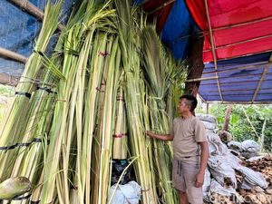 Janur dari Pangandaran Tembus Pasar Bali