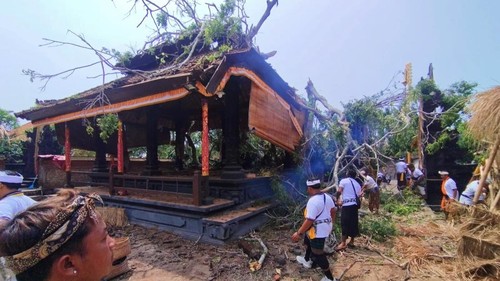 Proses penanganan pohon beringin raksasa berusia ratusan tahun di Desa Sengkidu, Kecamatan Manggis, Karangasem, Bali, Rabu (28/10/2026). (Foto: Dok. Kepala Desa Sengkidu)