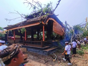 Beringin Raksasa di Karangasem Tumbang hingga Timpa Wantilan