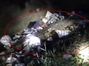 Nelayan Polman Diduga Diterkam Buaya Sempat Muncul di Selokan
