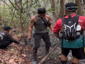 Demi Selamatkan Habitat Orang Utan, Relawan Tanjung Puting Nyaris Pingsan