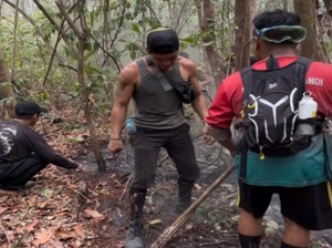 Demi Selamatkan Habitat Orang Utan, Relawan Tanjung Puting Nyaris Pingsan